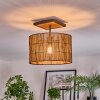 Cando Plafondlamp Natuurlijke kleuren, Zwart, 1-licht