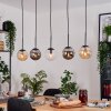 Gastor Hanglamp, Kogellampje, Hanglamp Amber, Duidelijk, Rookkleurig, 5-lichts
