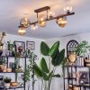 Chehalis Plafondlamp, Kogellampje Amber, Duidelijk, Rookkleurig, 10-lichts