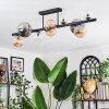 Chehalis Plafondlamp, Kogellampje Amber, Duidelijk, Rookkleurig, 10-lichts