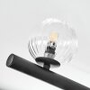 Chehalis Plafondlamp, Kogellampje Amber, Duidelijk, Rookkleurig, 10-lichts