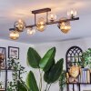 Chehalis Plafondlamp, Kogellampje Amber, Duidelijk, Rookkleurig, 10-lichts