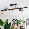 Chehalis Plafondlamp, Kogellampje Amber, Duidelijk, Rookkleurig, 10-lichts