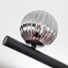 Chehalis Plafondlamp, Kogellampje Amber, Duidelijk, Rookkleurig, 10-lichts