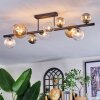 Chehalis Plafondlamp, Kogellampje Amber, Duidelijk, Rookkleurig, 10-lichts