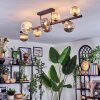 Chehalis Plafondlamp, Kogellampje Amber, Duidelijk, Rookkleurig, 10-lichts