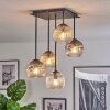 Ripoll Plafondlamp, Kogellampje Amber, Duidelijk, Rookkleurig, 5-lichts