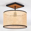 Ramila Plafondlamp Natuurlijke kleuren, Zwart, 1-licht