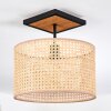Barcos Plafondlamp Natuurlijke kleuren, Zwart, 1-licht Barcos Plafondlamp Natuurlijke kleuren, Zwart, 1-licht