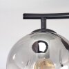 Ripoll Plafondlamp, Kogellampje Duidelijk, Rookkleurig, 2-lichts