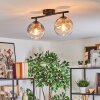 Ripoll Plafondlamp, Kogellampje Amber, Duidelijk, Rookkleurig, 2-lichts