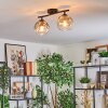 Ripoll Plafondlamp, Kogellampje Amber, Duidelijk, Rookkleurig, 2-lichts