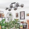 Ripoll Plafondlamp, Kogellampje Rookkleurig, 10-lichts