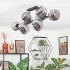 Ripoll Plafondlamp, Kogellampje Rookkleurig, 10-lichts