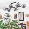 Ripoll Plafondlamp, Kogellampje Rookkleurig, 10-lichts