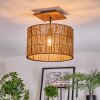 Cando Plafondlamp Natuurlijke kleuren, Zwart, 1-licht