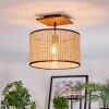 Ramila Plafondlamp Natuurlijke kleuren, Zwart, 1-licht