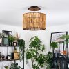 Cando Plafondlamp Natuurlijke kleuren, Zwart, 1-licht