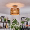 Cando Plafondlamp Natuurlijke kleuren, Zwart, 1-licht
