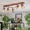 Nelar Plafondlamp, Plafondspot Brons, Chroom, 5-lichts