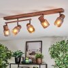 Nelar Plafondlamp, Plafondspot Brons, Chroom, 5-lichts