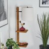 Venor Staande lamp Donkerbruin, Natuurlijke kleuren, Zwart, 1-licht