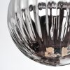 Chehalis Plafondlamp, Kogellampje Rookkleurig, 8-lichts