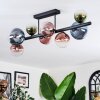 Chehalis Plafondlamp, Kogellampje Blauw, Groen, Duidelijk, Koperkleurig, 8-lichts