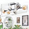 Ripoll Plafondlamp, Kogellampje Amber, Duidelijk, Rookkleurig, 10-lichts