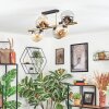 Gastor Plafondlamp, Kogellampje Goud, Zwart, 8-lichts