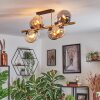 Gastor Plafondlamp, Kogellampje Goud, Zwart, 8-lichts