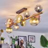 Chehalis Plafondlamp, Kogellampje Goud, Zwart, 10-lichts