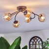 Chehalis Plafondlamp, Kogellampje 56 cm Amber, Duidelijk, 6-lichts