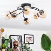 Chehalis Plafondlamp, Kogellampje 56 cm Amber, Duidelijk, 6-lichts