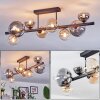 Chehalis Plafondlamp, Kogellampje Amber, Duidelijk, Rookkleurig, 8-lichts