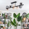 Chehalis Plafondlamp, Kogellampje Amber, Duidelijk, Rookkleurig, 8-lichts