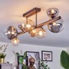 Chehalis Plafondlamp, Kogellampje Amber, Duidelijk, Rookkleurig, 8-lichts