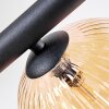 Chehalis Plafondlamp, Kogellampje Amber, Duidelijk, Rookkleurig, 8-lichts