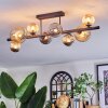 Chehalis Plafondlamp, Kogellampje Amber, Rookkleurig, 8-lichts