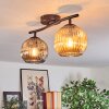 Ripoll Plafondlamp, Kogellampje Amber, Rookkleurig, 2-lichts