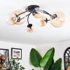 Chehalis Plafondlamp, Kogellampje Amber, Duidelijk, 6-lichts