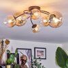 Chehalis Plafondlamp, Kogellampje Amber, Duidelijk, 6-lichts