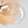 Chehalis Plafondlamp, Kogellampje Amber, Duidelijk, 6-lichts