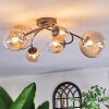 Chehalis Plafondlamp, Kogellampje Amber, Duidelijk, 6-lichts
