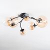 Chehalis Plafondlamp, Kogellampje Amber, Duidelijk, 6-lichts