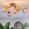 Chehalis Plafondlamp, Kogellampje Amber, Duidelijk, 6-lichts Chehalis Plafondlamp, Kogellampje Amber, Duidelijk, 6-lichts