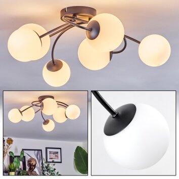 Chehalis Plafondlamp, Kogellampje Wit, 6-lichts