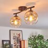 Ripoll Plafondlamp, Kogellampje Amber, Duidelijk, 2-lichts