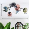 Chehalis Plafondlamp, Kogellampje Blauw, Groen, Duidelijk, Koperkleurig, 6-lichts
