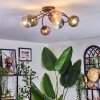 Chehalis Plafondlamp, Kogellampje Blauw, Groen, Duidelijk, Koperkleurig, 6-lichts